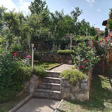 Apartment Bozic Vrbovsko Exteriér fotografie